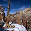 View from Angels\' Landing Trail 1