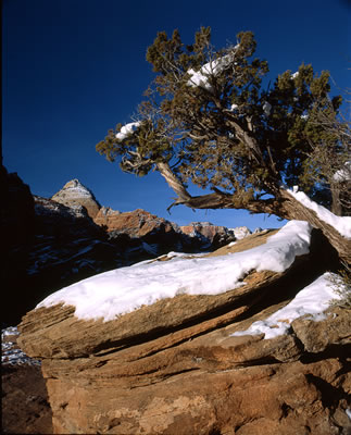 View from Canyon Overlook Trail in the Morning