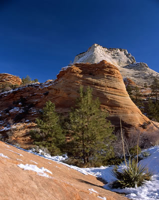 Zion National Park