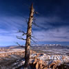 View from Bryce Point