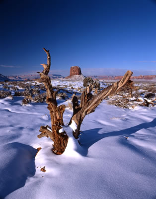Monument Valley 2