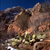 View from Lower Emerald Pool Trail 1
