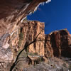 View from Lower Emerald Pool Trail 2