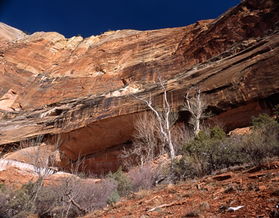 Zion National Park