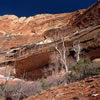 Zion National Park