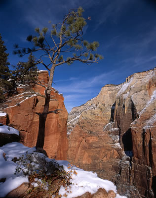 View from Angels' Landing Trail 2