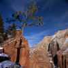 View from Angels\' Landing Trail 2