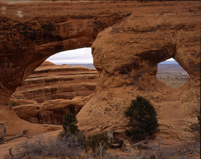 Partition Arch