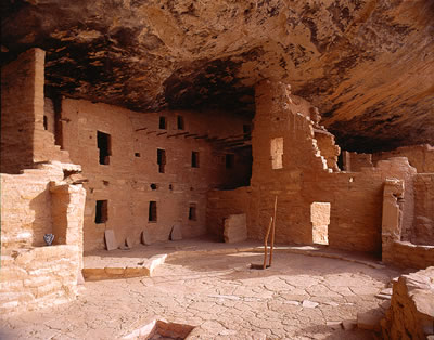 Spruce Tree House