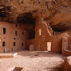 Spruce Tree House
