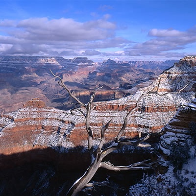 View from South Rim