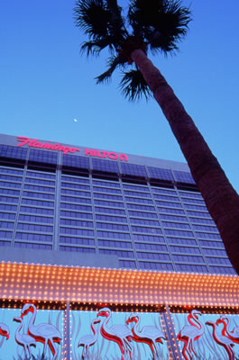 Flamingo Hotel in the Morning