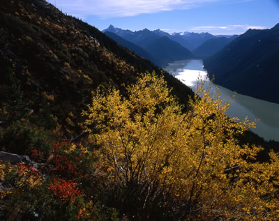 Chilliwack Lake from the Flora Lake Trail