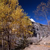 On the Trail to Berg Lake