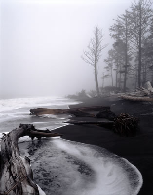 Rialto Beach 2