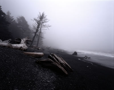 Rialto Beach 3