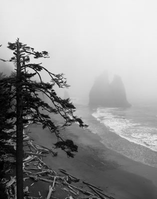 Rialto Beach 4