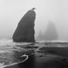 Rialto Beach 6