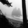 Rialto Beach 7