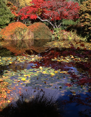 Van Dusen Botanical Garden 12