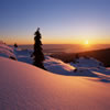 Sunset on Snow