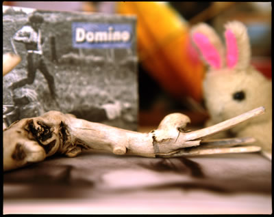 Domino and Gabor Body