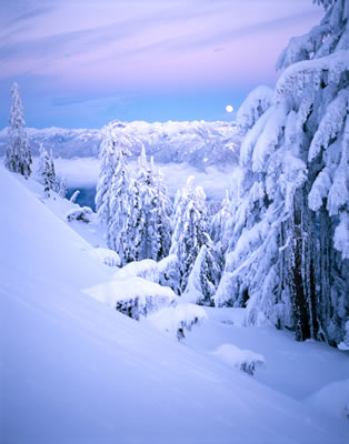 Snowy 3: Moonrise