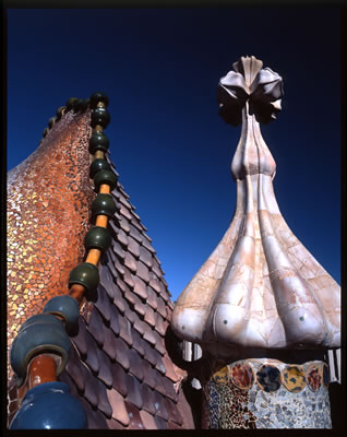 Roof Detail (Casa Batllo Designed by Antoni Gaudi) 3