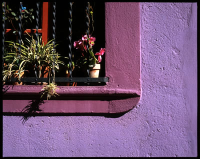 Window of a Violet Colored House