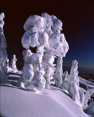 Snowy 4