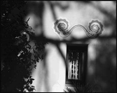 Torre Rosa Detail (Parc Guell Designed by Antoni Gaudi) 1