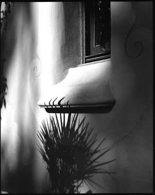 Torre Rosa Detail (Parc Guell Designed by Antoni Gaudi) 3