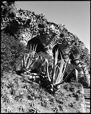 Parc Guell Detail (Designed by Antoni Gaudi) 1