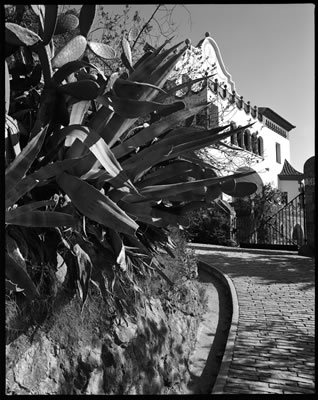 Parc Guell Detail (Designed by Antoni Gaudi) 2