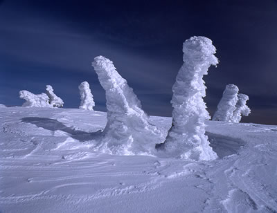 Snowy 6