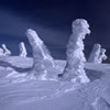 Snowy 6