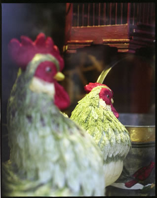 Two Roosters (Display Window)
