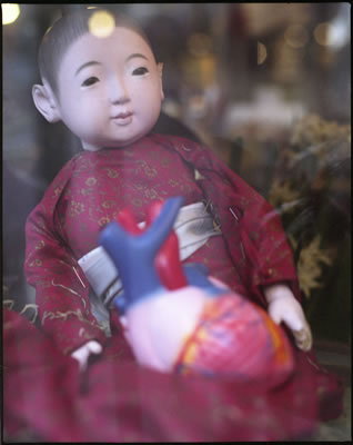 Little Monk with Big Heart (Display Window)