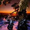 Snowy 7: Sunset 1
