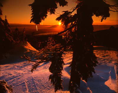 Snowy 8: Sunset 2