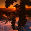 Snowy 8: Sunset 2