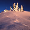 Snowy 9: Late Afternoon 2