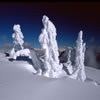 Snowy 11