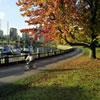 Stanley Park in Fall 1