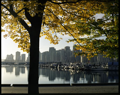 Stanley Park in Fall 3