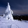 Snowy 15