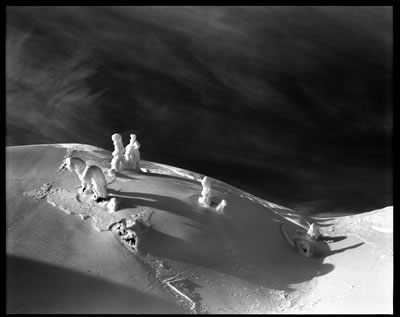 Enchanting Creatures 2