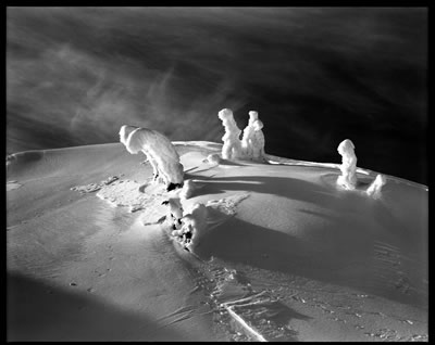 Enchanting Creatures 3