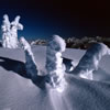 Snowy 16