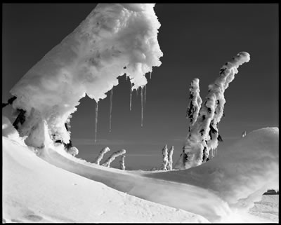 Enchanting Creatures 7